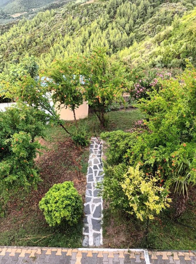 Panorama