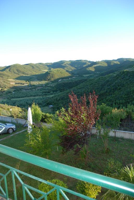 Panorama