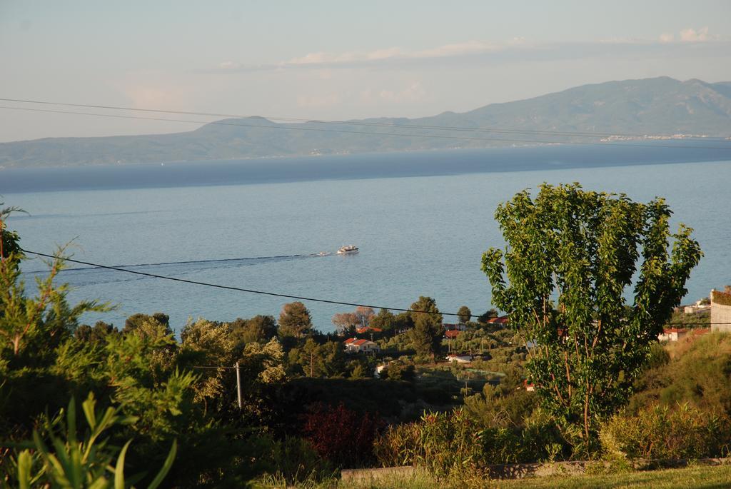 Panorama *