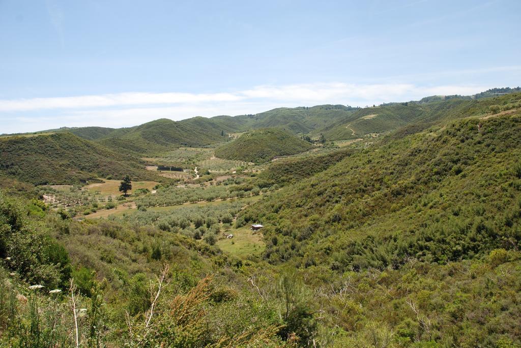 Panorama Villa *