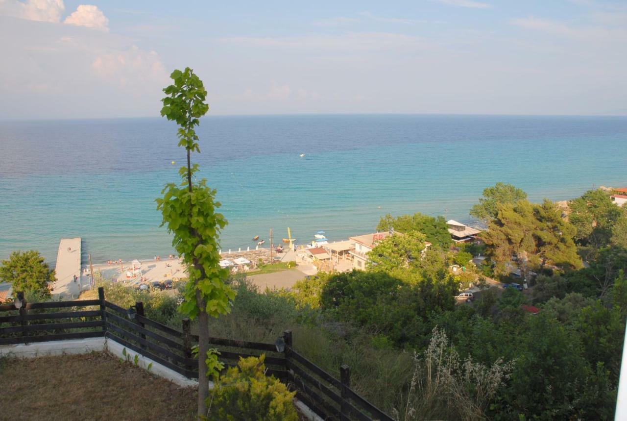 Panorama *